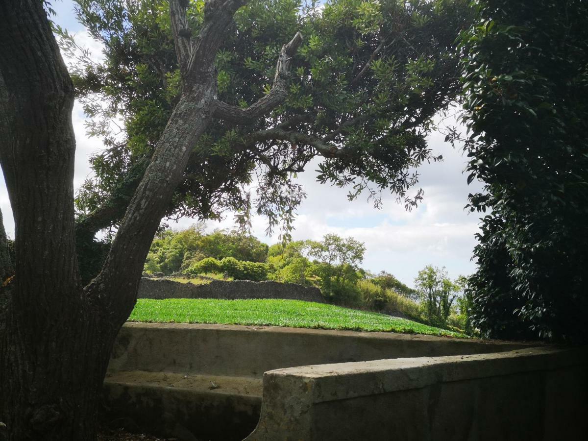 Quinta das Camélias - Açores Ponta Delgada Extérieur photo